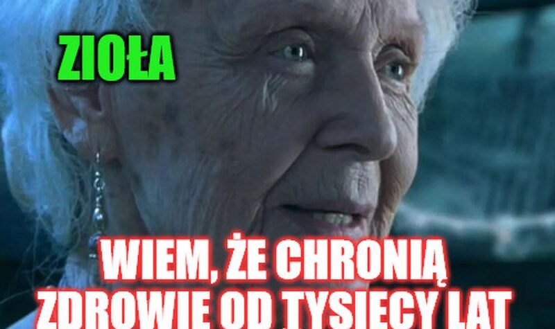 11 ziół na przeziębienie